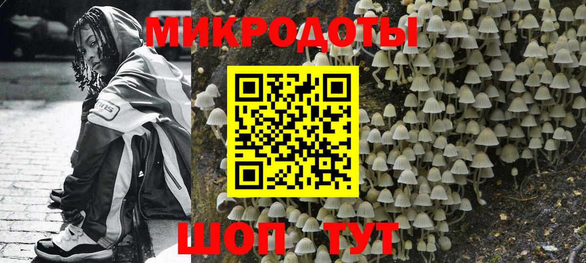 Новоалександровск  Псилоцибиновые грибы MAGIC MUSHROOMS  Вход с VPN  Псилоцибиновые грибы Cubensis 